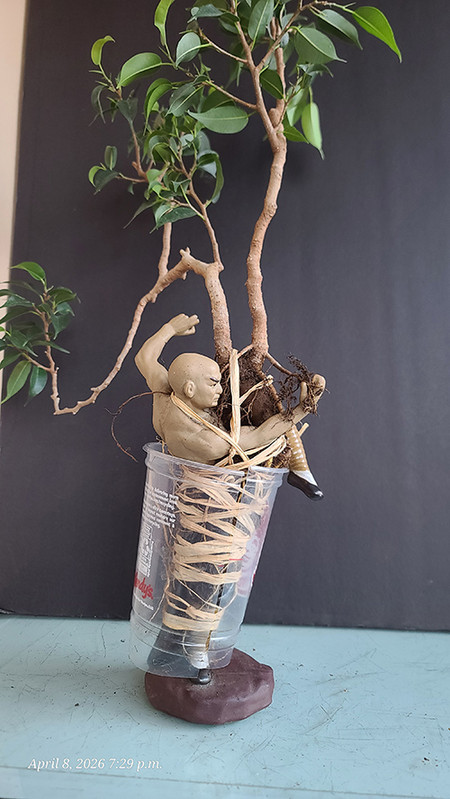 [Image: 20260408-192903.jpg]