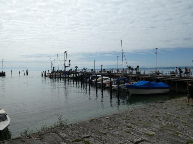 ALSACIA, LAGO CONSTANZA Y SELVA NEGRA - Agosto 2017 - Blogs de Europa Central - Día 6- Meersburg y Lindau (11)