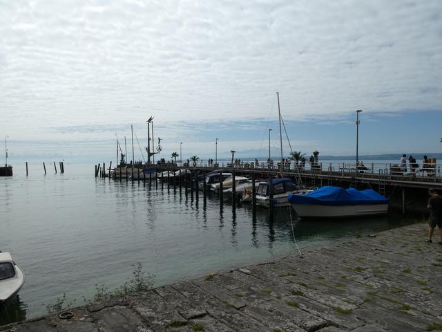 Día 6- Meersburg y Lindau - ALSACIA, LAGO CONSTANZA Y SELVA NEGRA - Agosto 2017 (11)