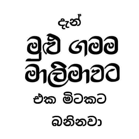 FB-IMG-1736690016053.jpg