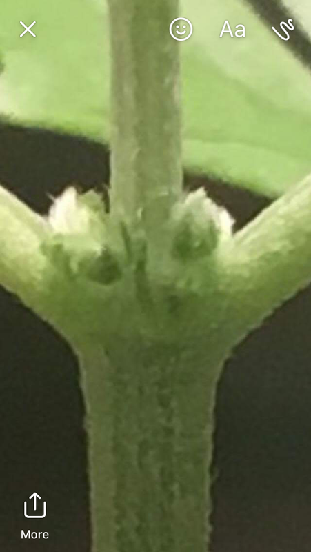 ED13CE5F-124D-4E03-8AD9-32B19A0231FA