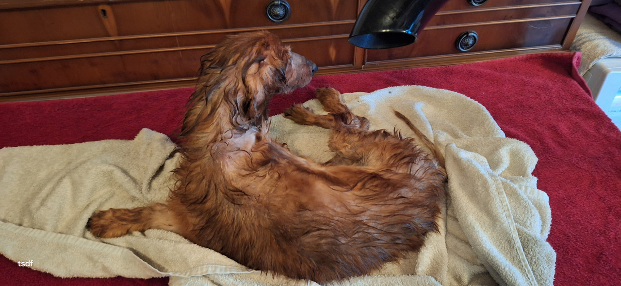 [Image: 20250719-095626.jpg]