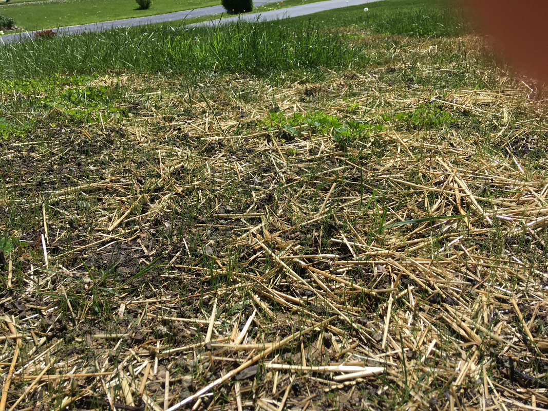 F3EB0222-B759-45C9-8167-2CA2FC1AA497