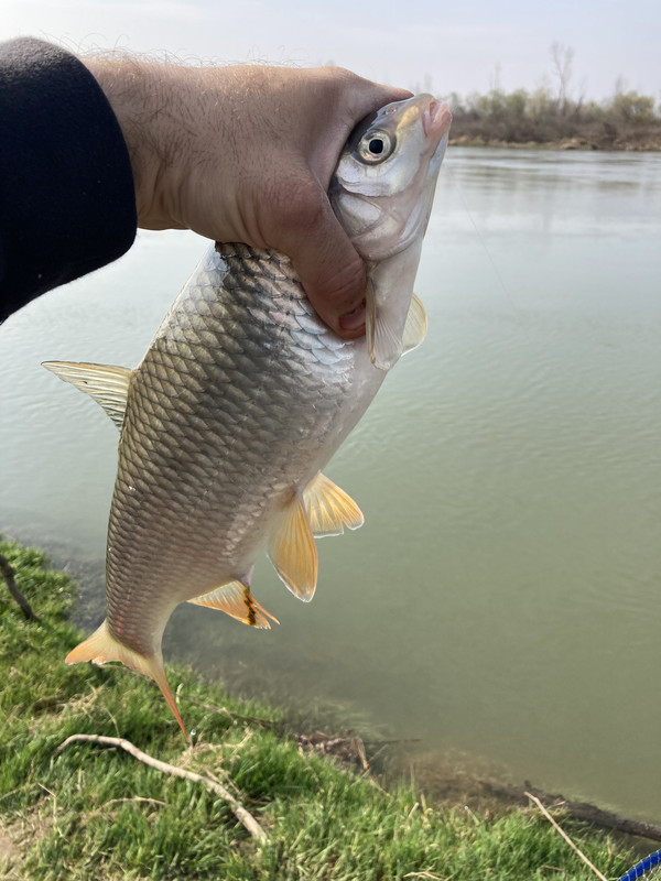 18D4D4A2-305C-4F71-851D-252FFAD430AF