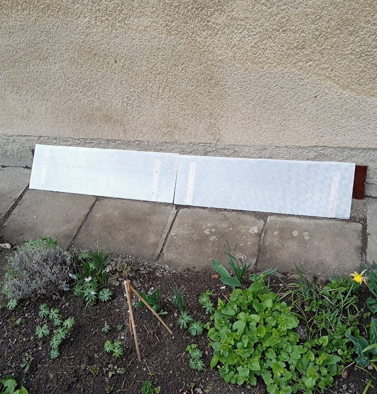 IMG_20250331_153637741