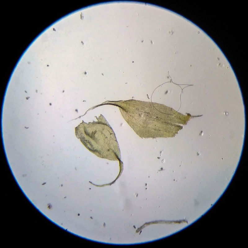 IMG 20250614 205305 HDR