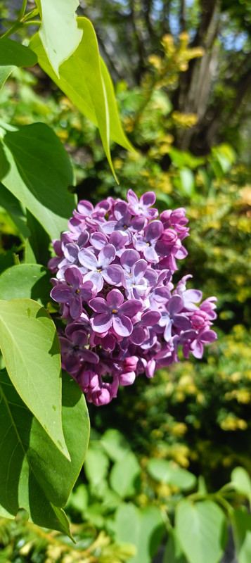 IMG20260513103455.jpg