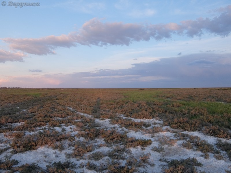 DSCF5766