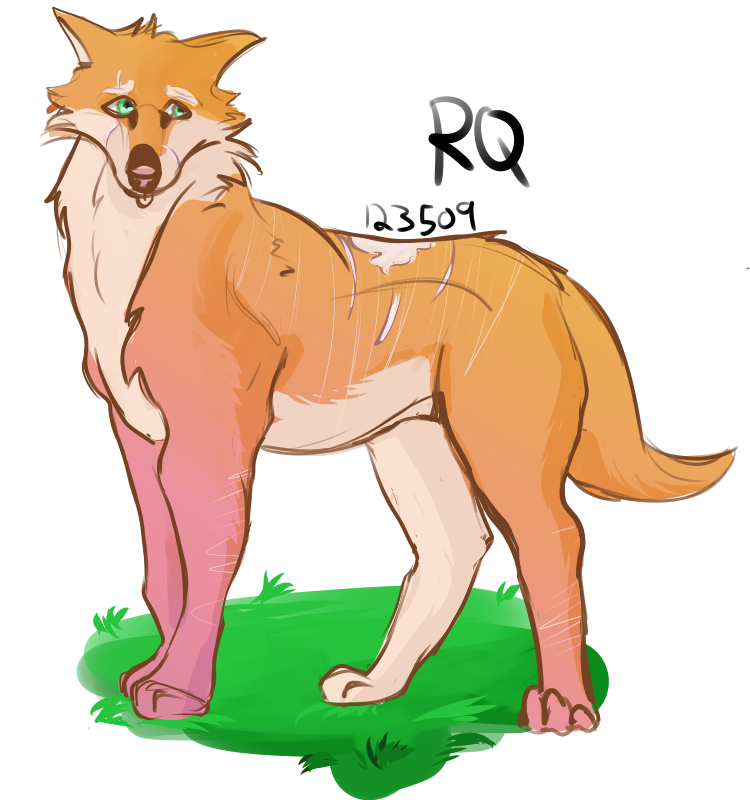 42E47548-5968-40AD-8A4B-960B45120234