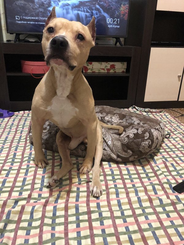 86018F06-961E-4815-8E74-EE8D37066E85