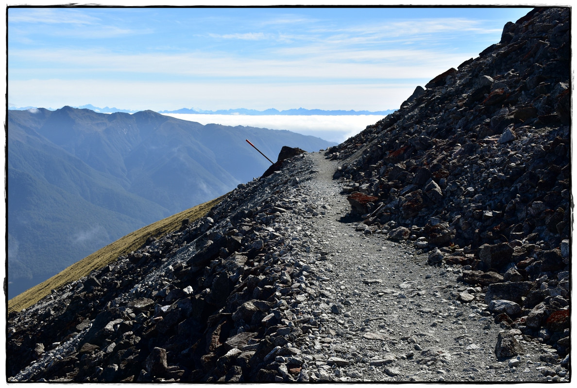Fiordland NP: Kepler Track (febrero 2022) - Escapadas y rutas por la Nueva Zelanda menos conocida (22)