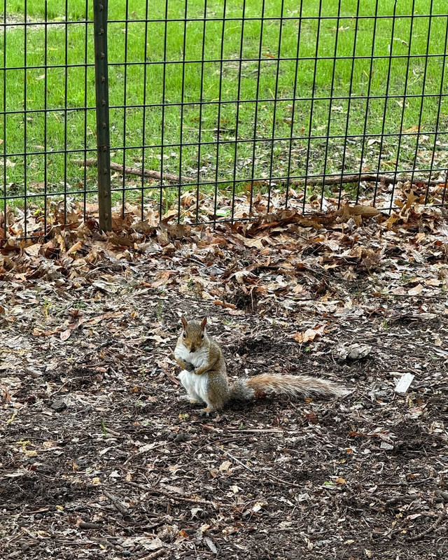 再见就是五月了 (6)