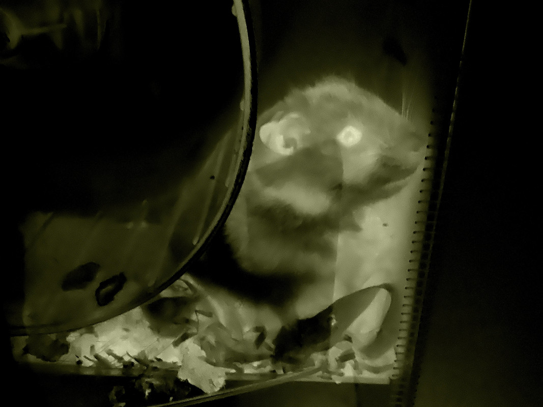 451C39F0-C560-4F44-B5CD-97423EFC5A70