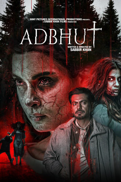 Adbhut (2024) Hindi Movie HD-TVRip – 480p [350MB] || 720p [1GB] || 1080p [2.2GB]