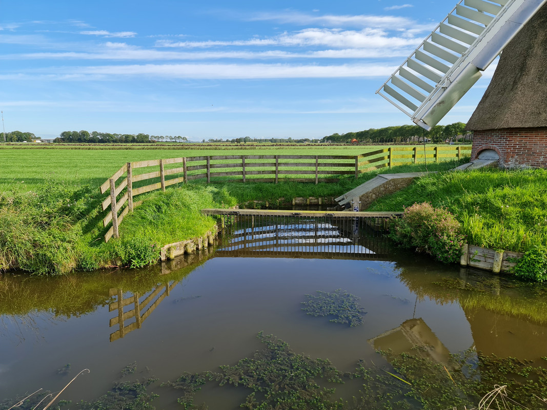 Pieter Zuijkerbuijk, 't Witte Lam 04 Zuidwolde 01-09-2023