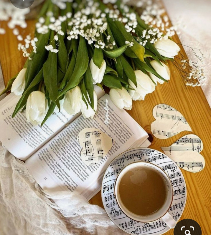 Screenshot_20230622_004505_Pinterest