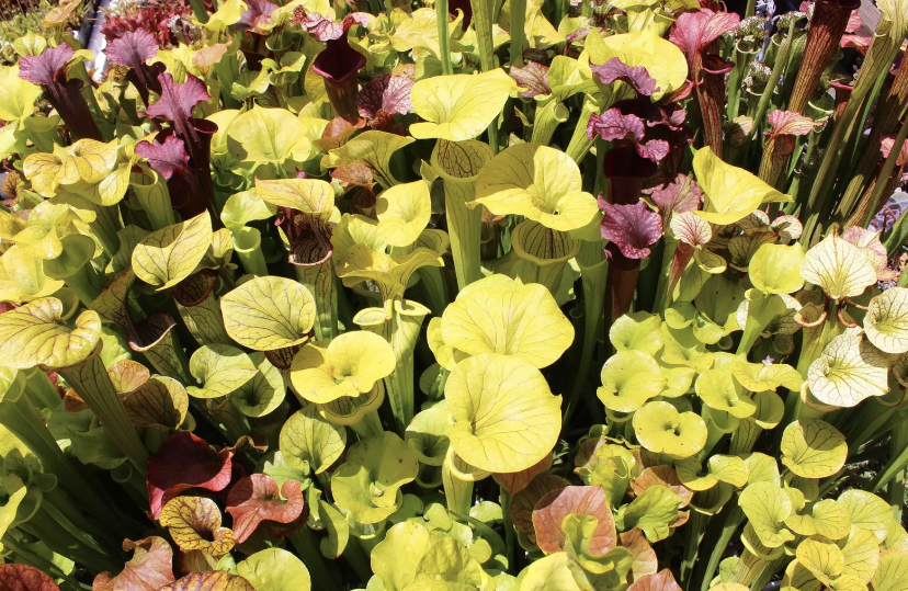 6CC302FF-0EBA-438E-8FCC-160660C83E2C