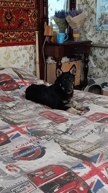 2A26CBFE-6756-4805-A0D4-05FD9E1FD6AA