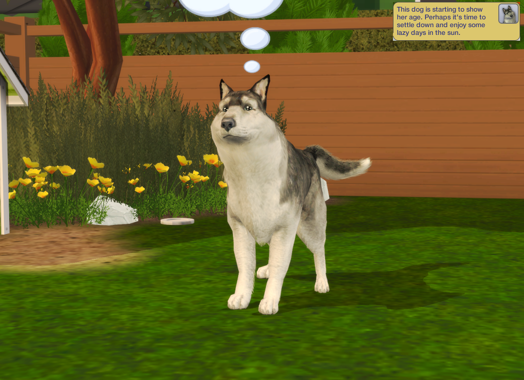 Sims2-EP9-RPC-2024-10-08-20-48-46-61