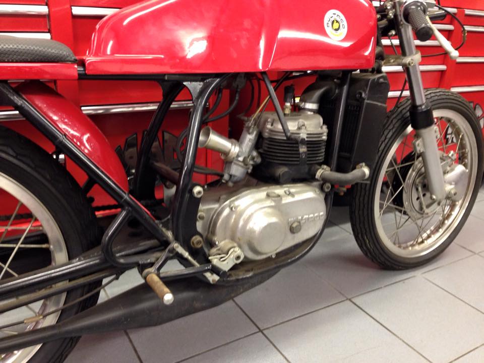 Bultaco TSS250 Agua (1968) 10408634-647276078734399-5894469782969570895-n