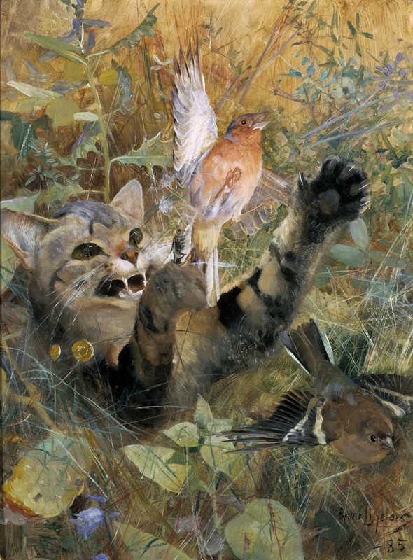 1-Bruno Andreas Liljefors - A Cat and a Chaffinch 1885  - (MeisterDrucke-224511)