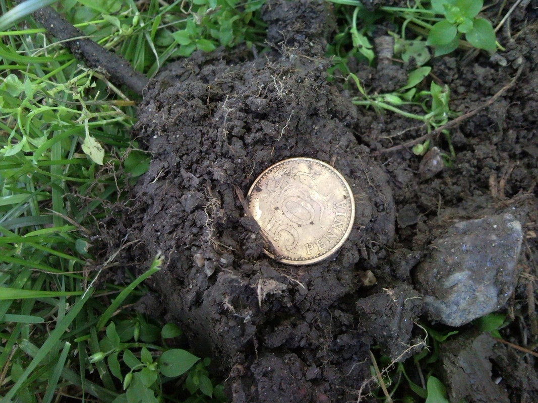 2014-07-16 @17-59-02 - 50 penniä