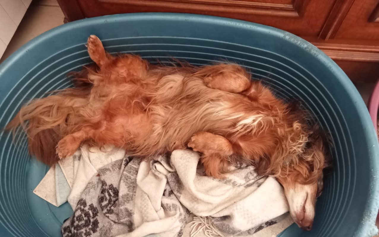 [Image: IMG-20250502-155145.jpg]