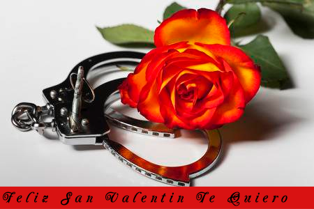 35875006-esposas-con-una-rosa