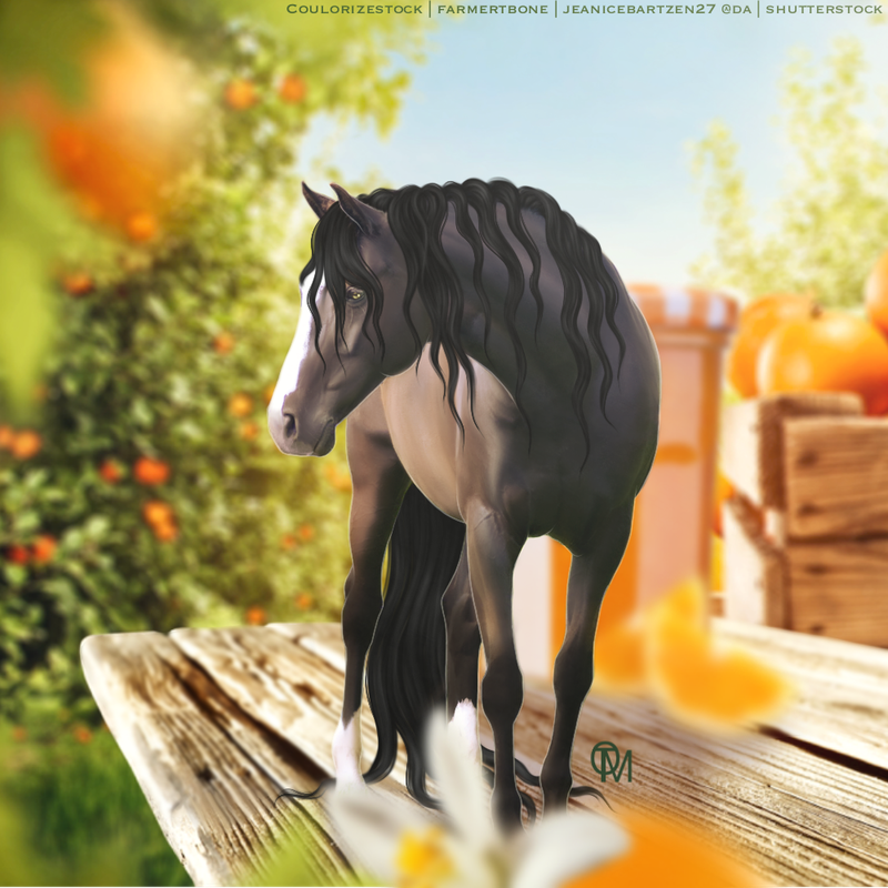 94 EE3 D92 ABB8 42 FB 8288 1 CFFA21 B8 E72 — Postimages