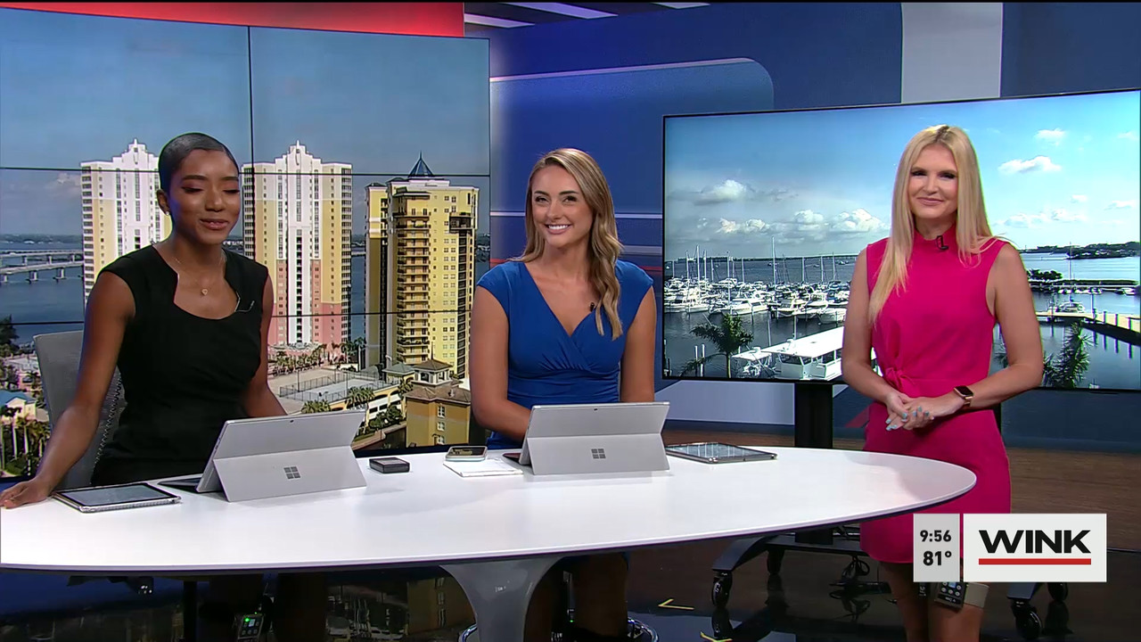 04.29 - 14.00.00 - WINK News at 9 00AM  ᴺᵉʷ. Morning news.ts_snapshot_00.58.15.508
