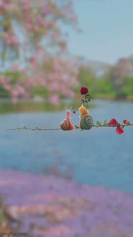 ���� ���� ������ �� ���� ������