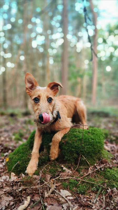 Lumii_20250812_102209643