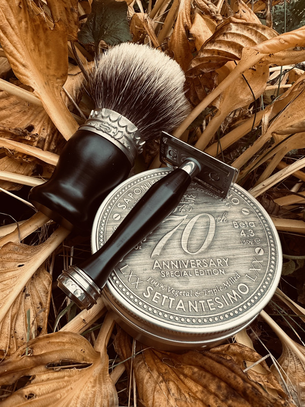 SOTD 20231028