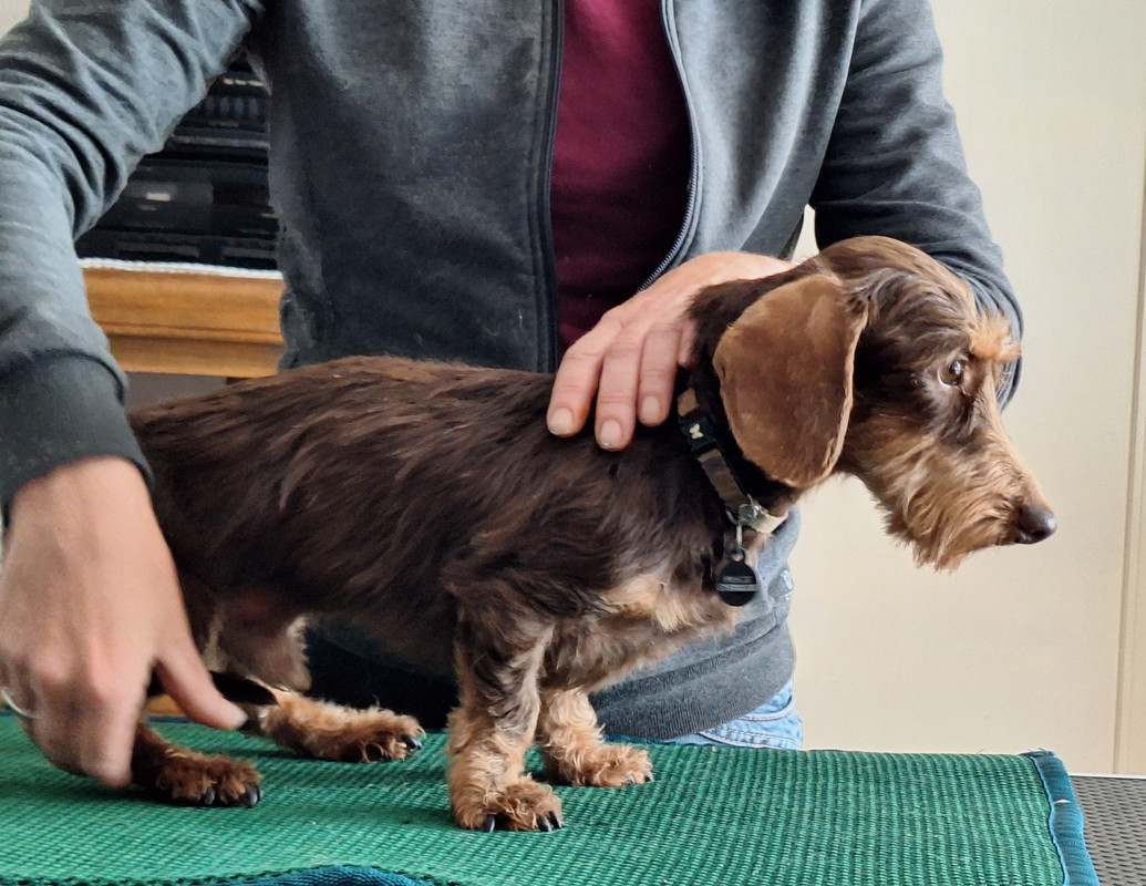 [Image: 20240702-163909.jpg]