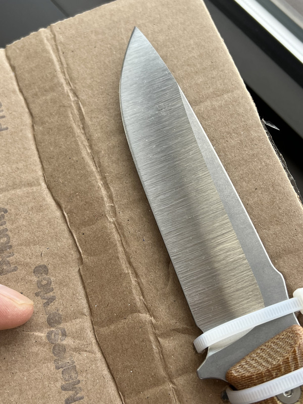 8B4B2DCB-18A6-4A31-9762-9E48C17E663C