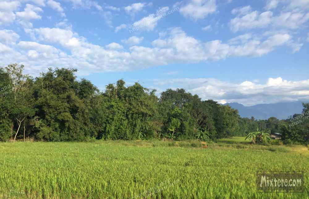 BBG&B17TezpurToBomdila - 1