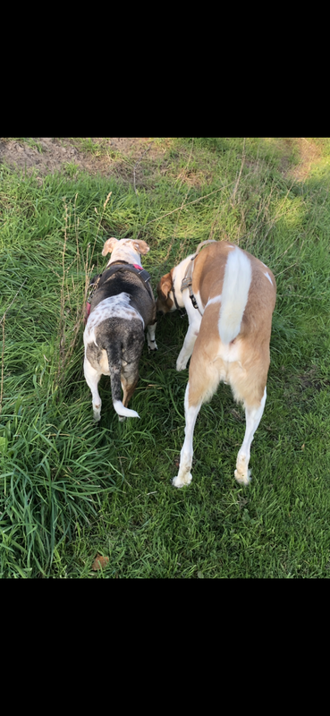 ACC6EF47-1886-4909-9DAF-F35AF4936273