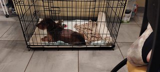 [Image: 20240316-194935.jpg]