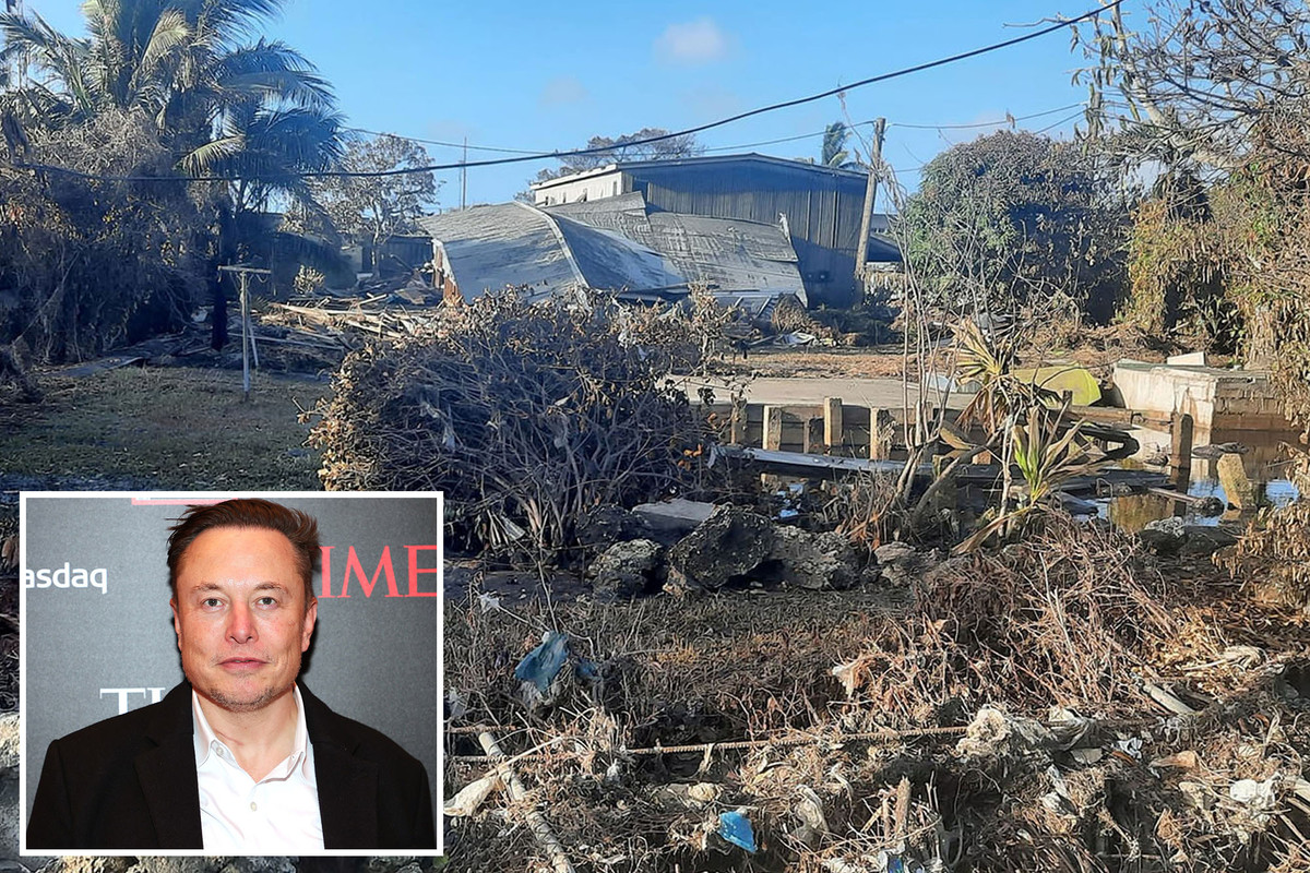 Elon Musk ayuda a restaurar el internet en Tonga tras erupción, tsunami y COVID