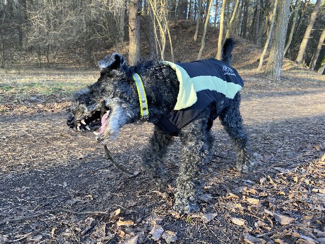 36-F4-C569-4-D35-44-FB-AE19-BC0588463-A9