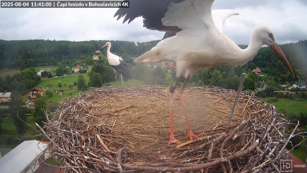 Živě z čapího komína firmy KARA v Bohuslavicích u Trutnova 10-4-38 screenshot (1)