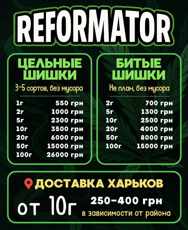 reformator.jpg