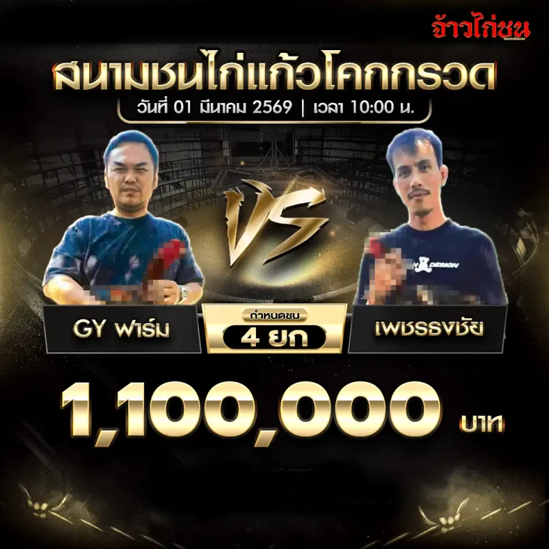 โปรแกรมไก่ชน แก้วโคกกรวด 1 มีนาคม 2569 : GY ฟาร์ม vs เพชรธงชัย ชิง 1,100,000 บาท