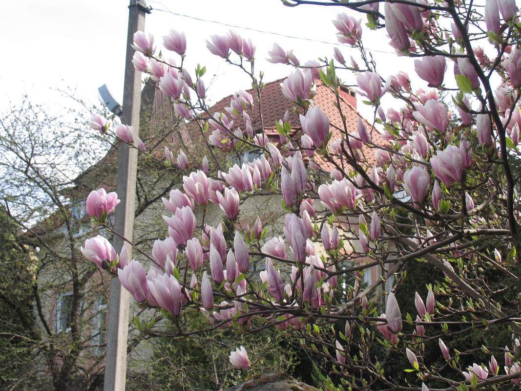 11 апреля 2024 018