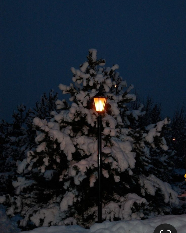 Screenshot_20231024_231900_Pinterest