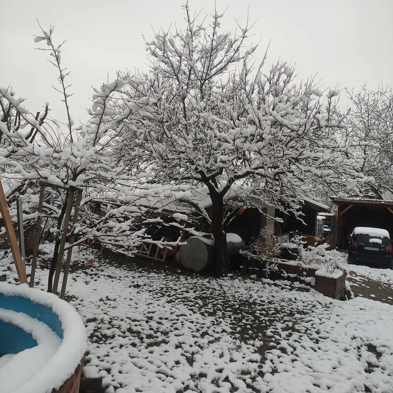 582981477 1417656576363658 8535301953933361534 n