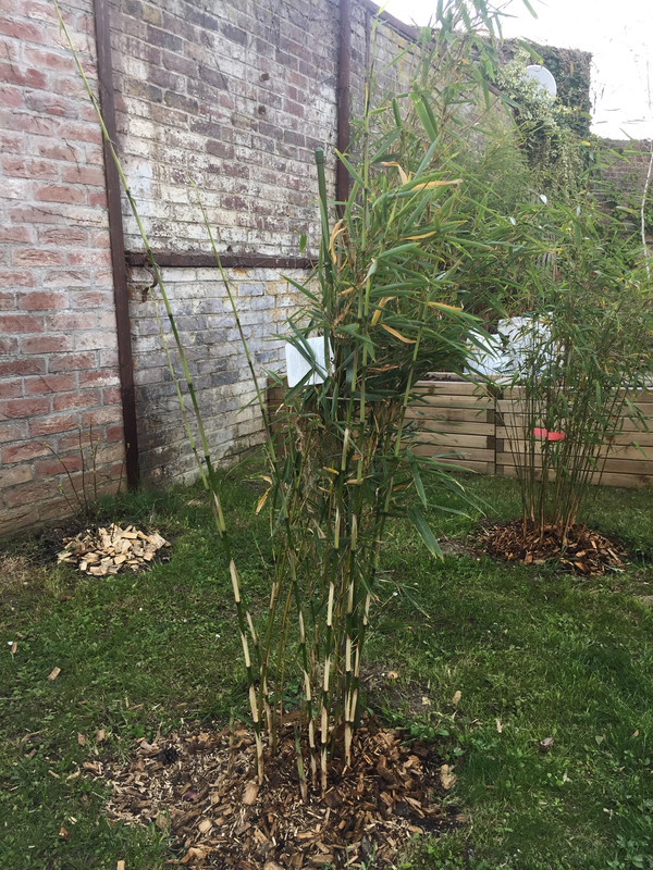 84736F11-2A57-4683-98A7-C1DE075EEC7A