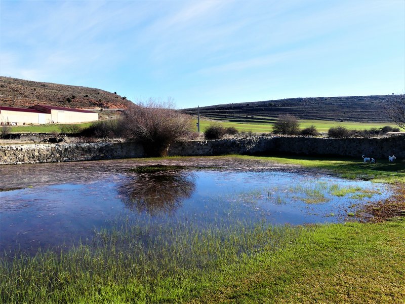 MONTEJO DE TIERMES-16-2-2020 - Soria y sus pueblos-2010/2013/2020 (15)