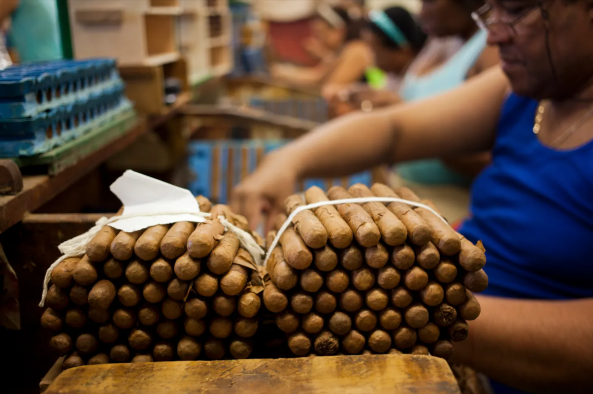 462800560-jpg-1440×960-