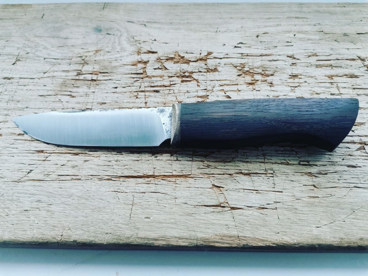 photo 3 2025 11 10 08 52 05